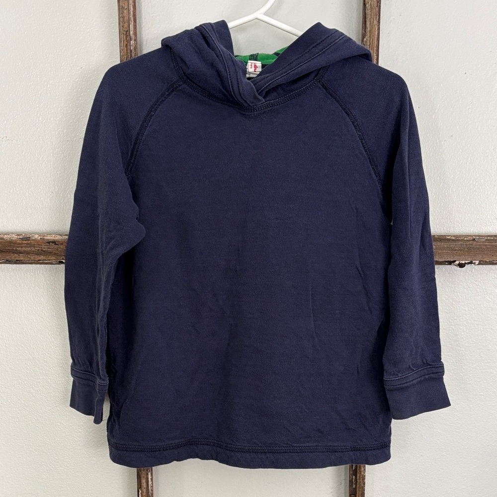 Hanna Andersson reversible long sleeve tee with hood